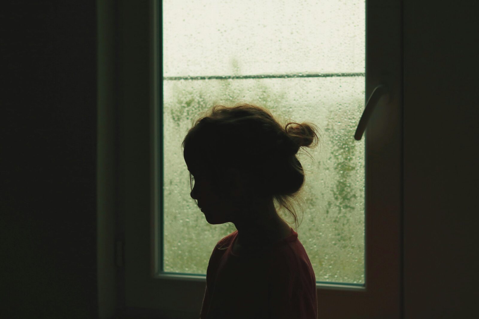 Silhouette kind